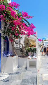 Street with Flowers in Greece