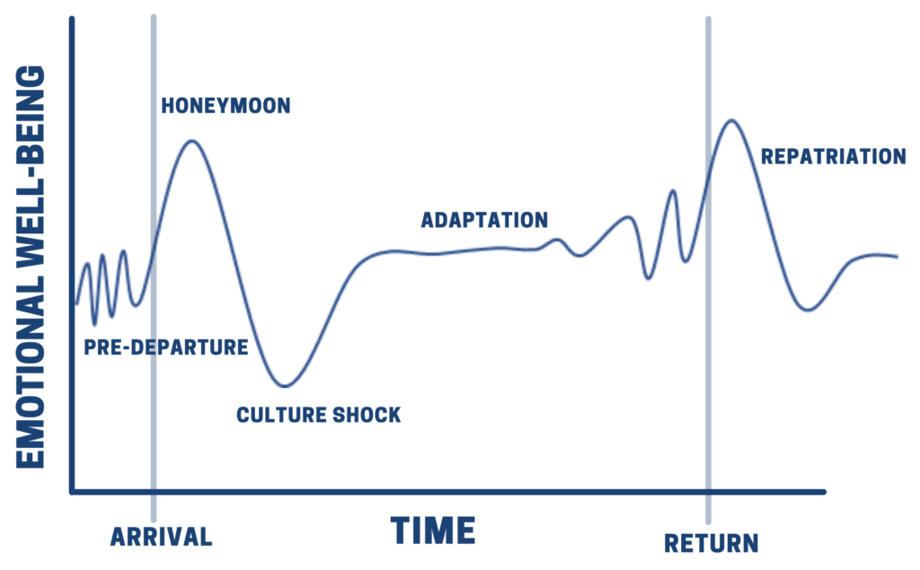 Cultural Transition Cycle Chart